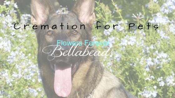 Cremation For Pets