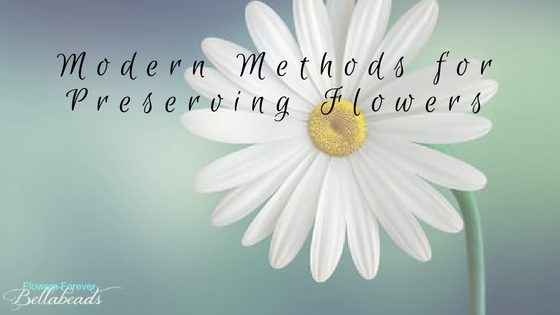 Modern Methods For Preserving Flowers