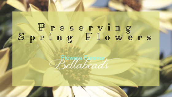 Preserving Springtime Flowers