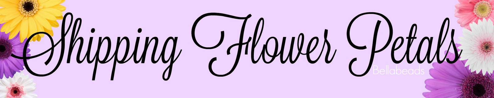 Shipping Your Flower Petals