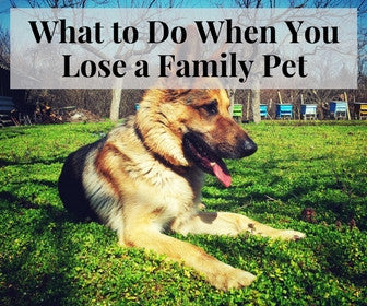 What To Do When You Lose A Family Pet