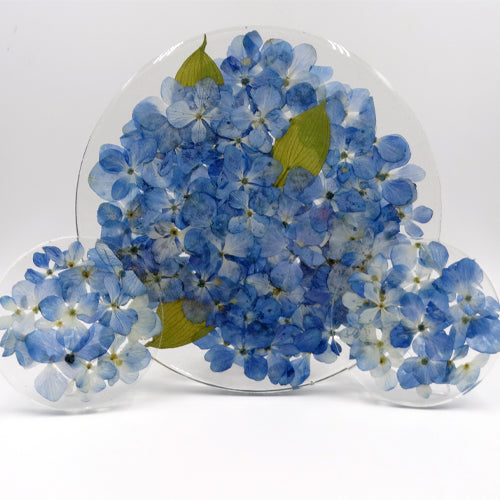 The Magic and Beauty of Artistic Flower Preservation