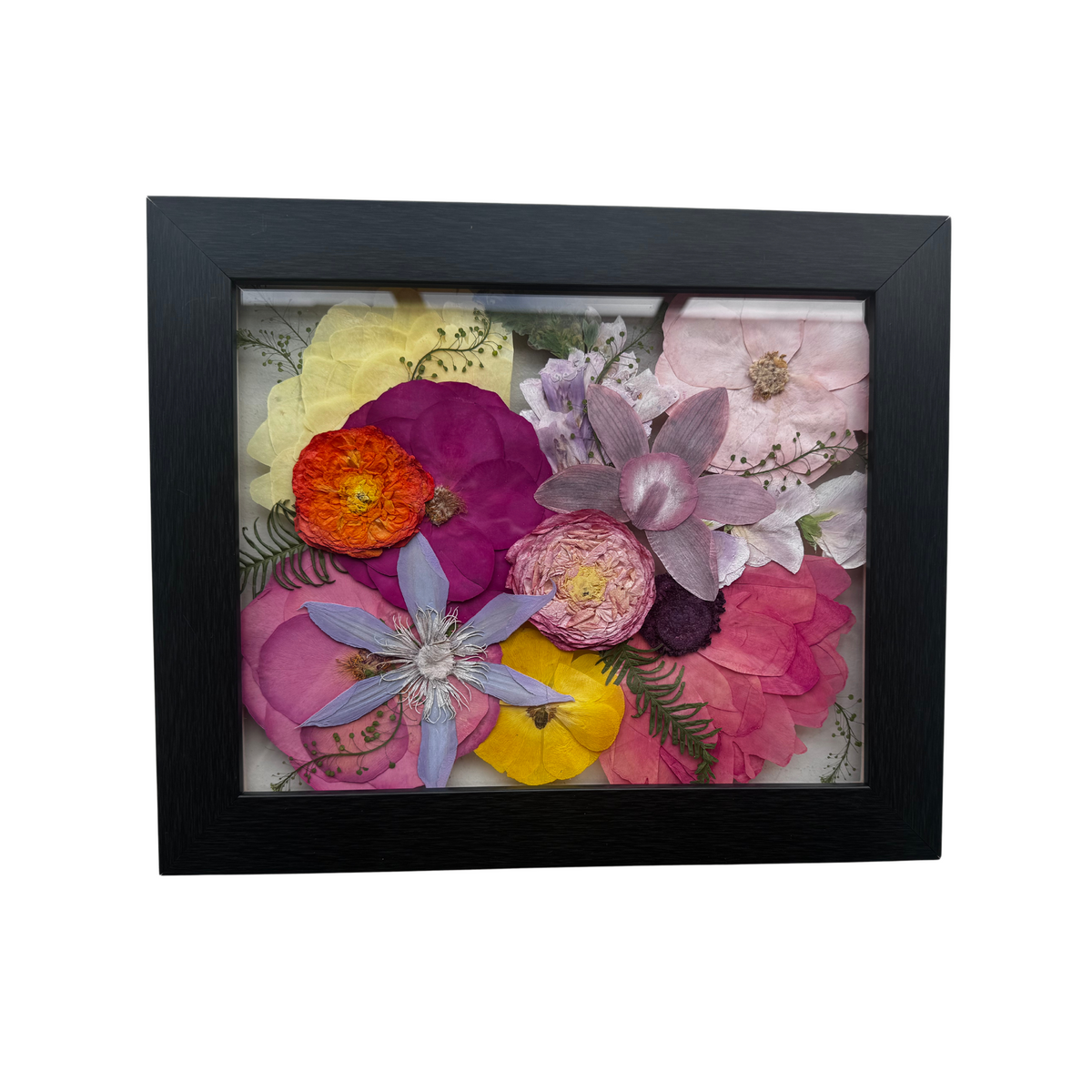 Framed Pressed Flowers - 8&quot; x 10&quot;