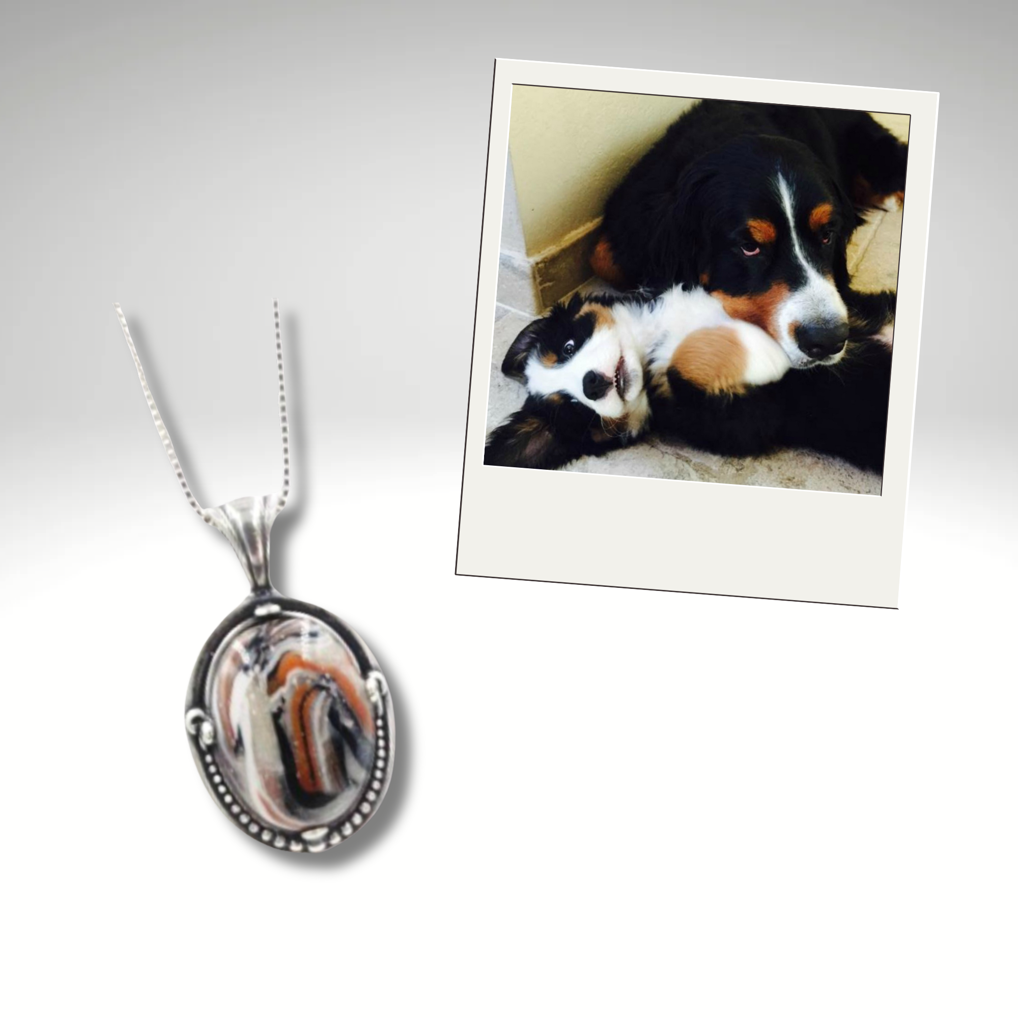 Oval sterling silver pendant with a custom swirl bead made from pet ashes or fur. Displayed next to a photo of two Bernese Mountain Dogs, capturing a loving memory. Personalized pet memorial jewelry for remembrance.
