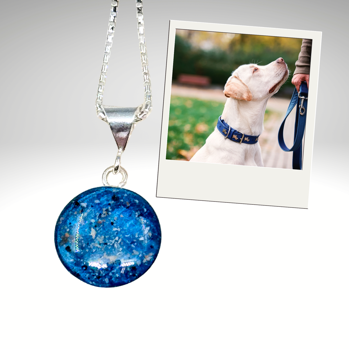 Loyal Companion – Round Pet Memorial Ash Pendant