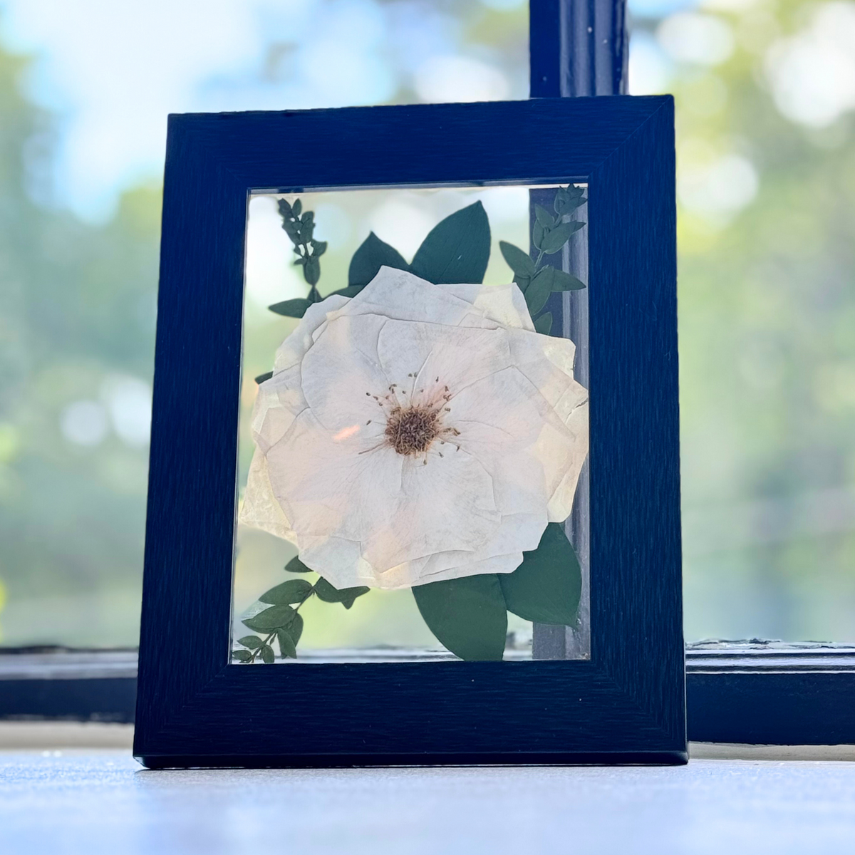 Framed Pressed Flowers - 5&quot; x 7&quot;