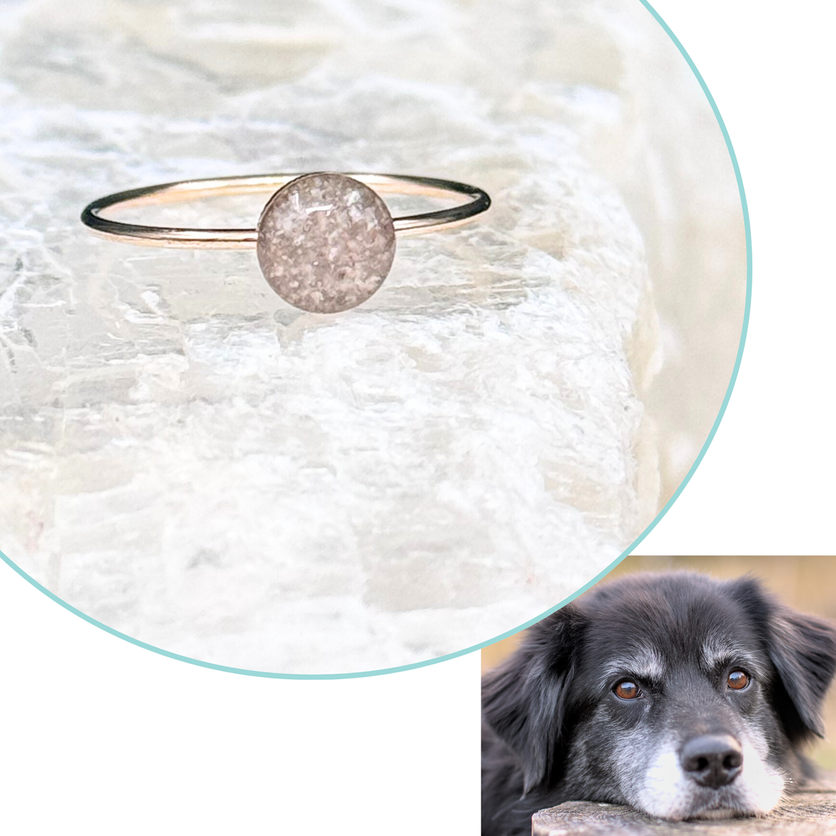 Forever Furry Friend Stackable Ring – Pet Ashes &amp; Fur Memorial Jewelry