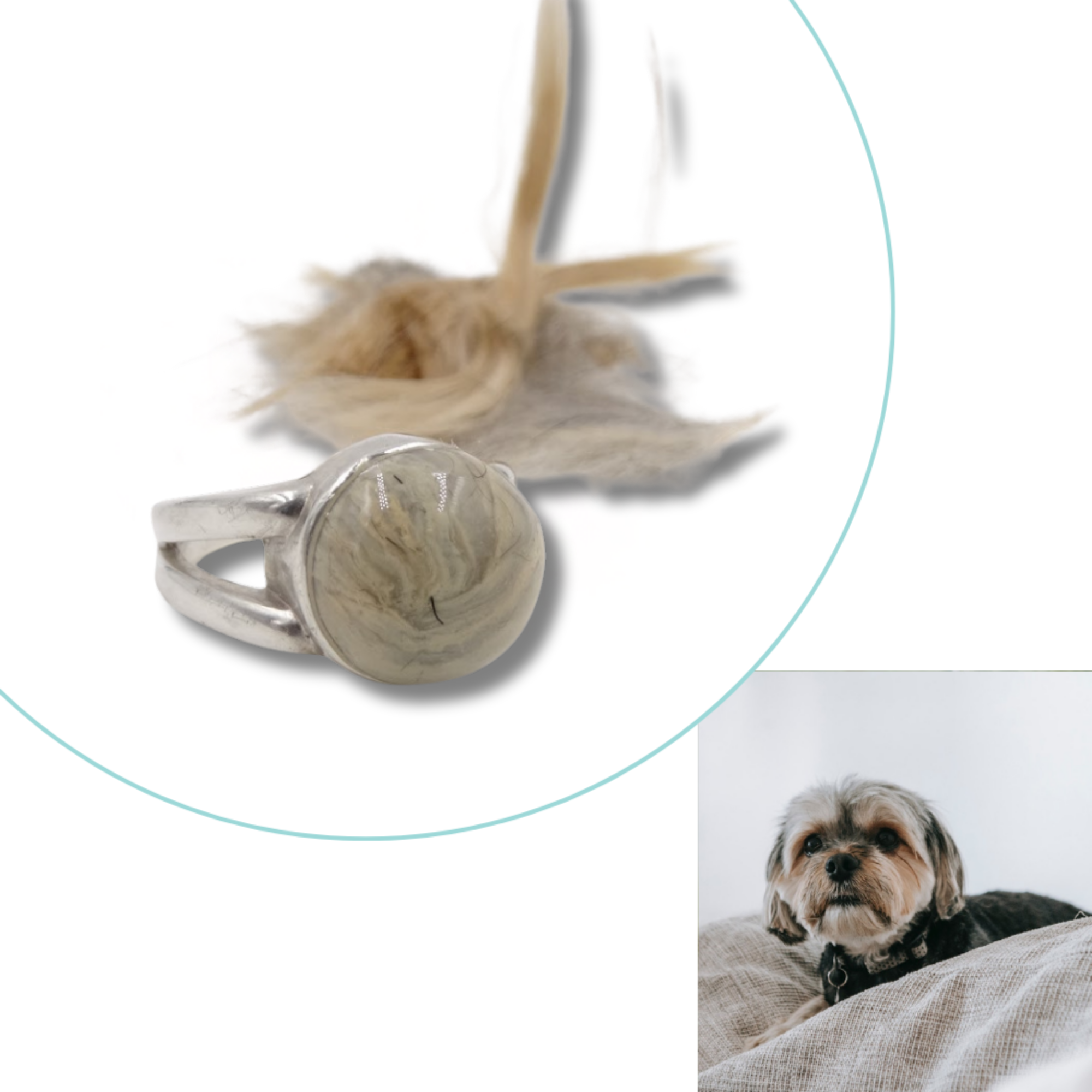 A pet memorial ring infused with ashes or fur, displayed alongside a beloved pet. A heartfelt keepsake to cherish their memory.