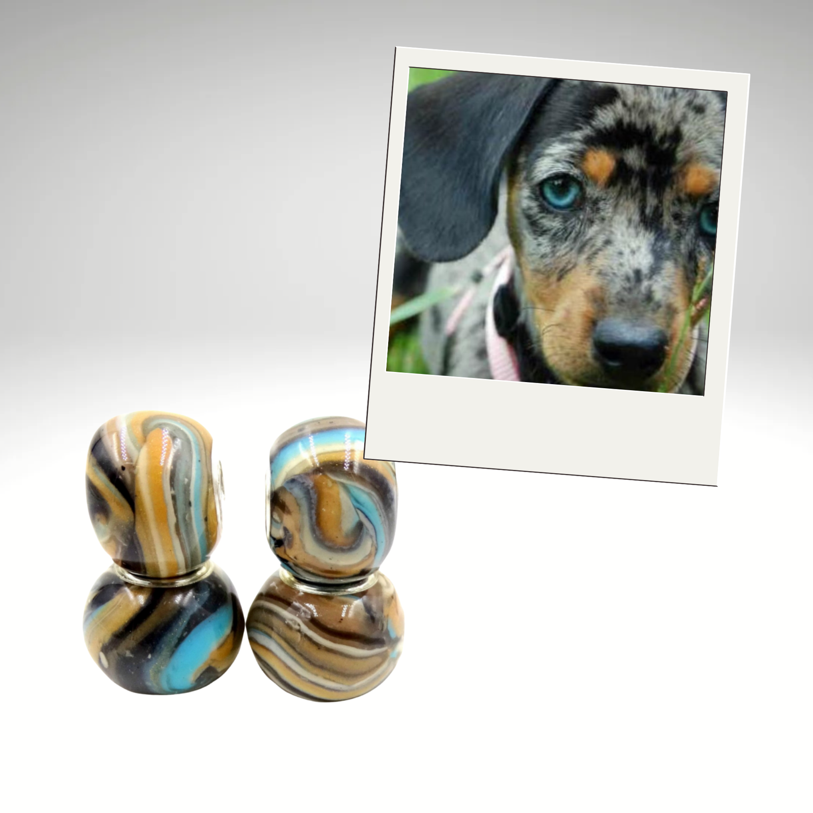 Custom pet memorial charm bead infused with pet fur or ashes, designed with swirling patterns in black, brown, white, and aqua blue. Displayed next to a photo of a speckled puppy with blue eyes. Personalized keepsake for bracelets.