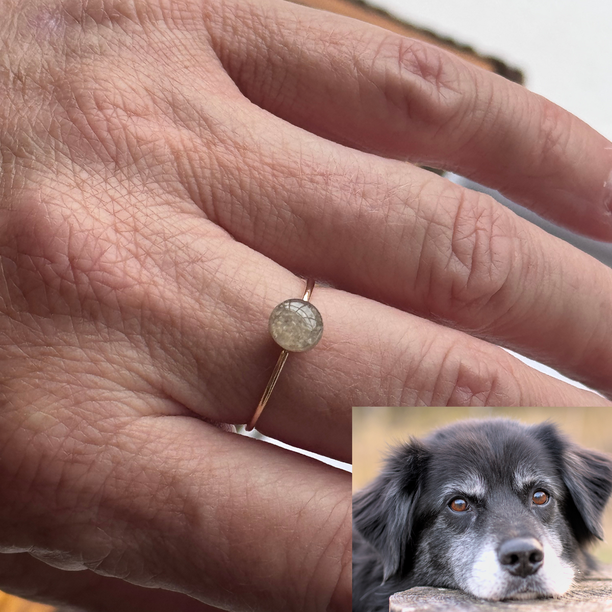 Gold-plated stackable ring made with pet fur, shown on a hand next to photo of black dog with white markings
