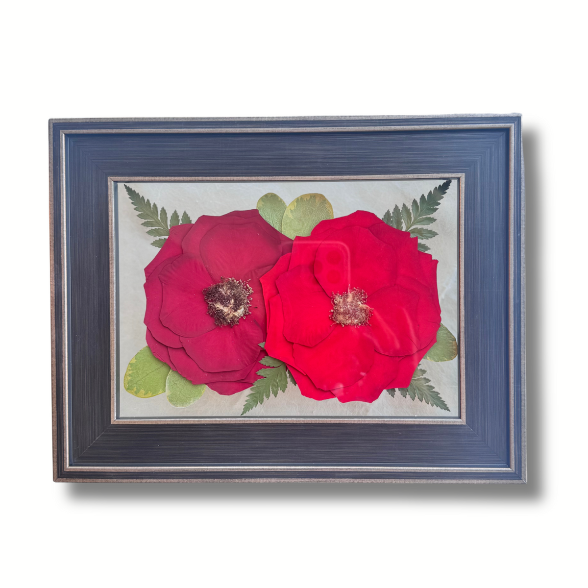 A 5 × 7 pressed flower frame showcasing two deep red roses surrounded by preserved ferns and green leaves, all elegantly arranged in a dark wood frame with metallic accents. A bold and timeless tribute to love, remembrance, or a cherished wedding day.