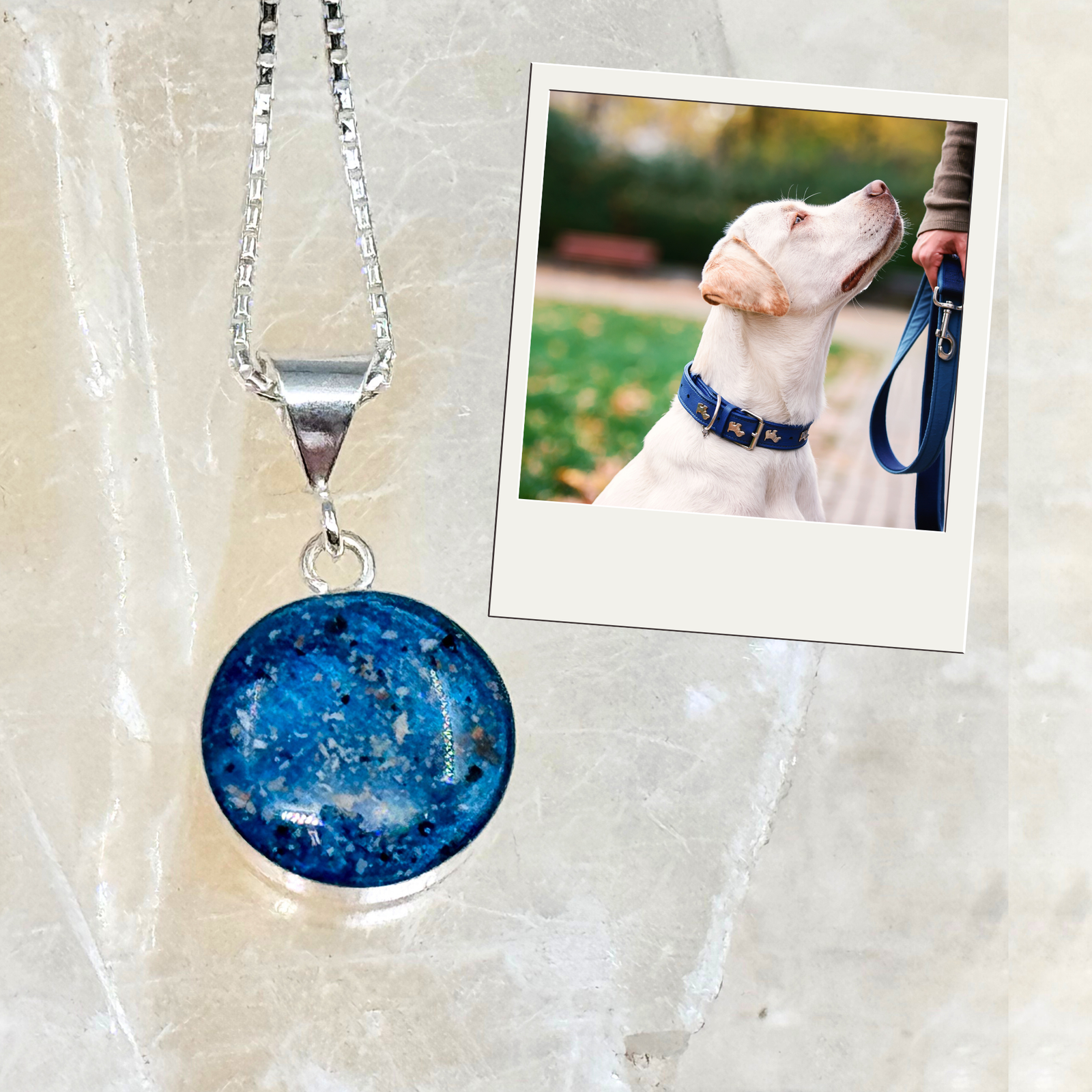 Round sterling silver pet memorial ash pendant shown with Labrador, symbolizing the enduring bond between pet and owner.