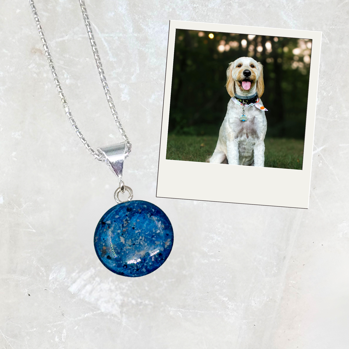 Round sterling silver pet memorial ash pendant in vibrant blue, displayed alongside a Labrador dog to symbolize loyalty and remembrance.