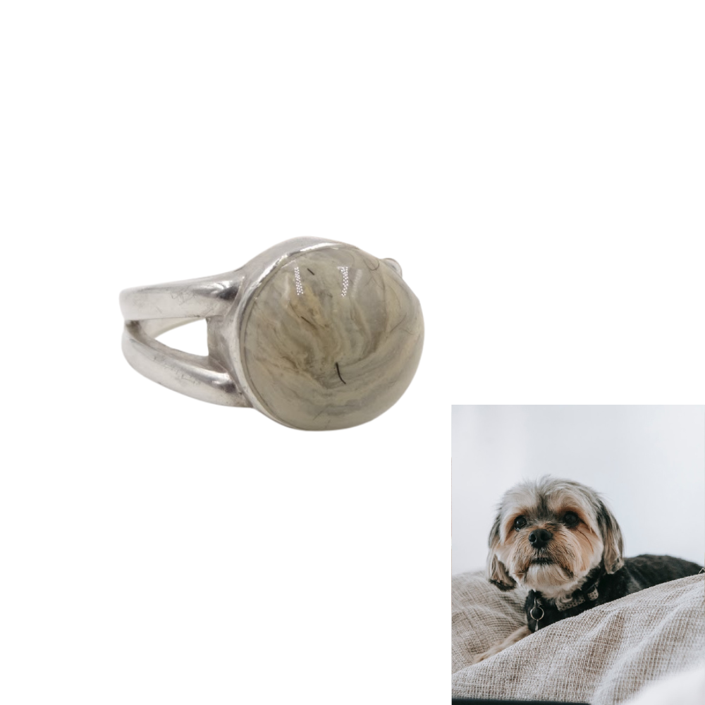 A close-up of a handcrafted pet memorial ring, infused with ashes or fur, with a pet in the background. Custom-made tribute jewelry.