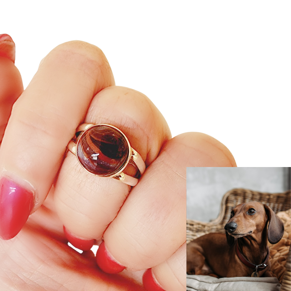 A pet memorial ring worn by a model, featuring a dachshund in the background. A timeless way to keep a beloved pet’s memory close.