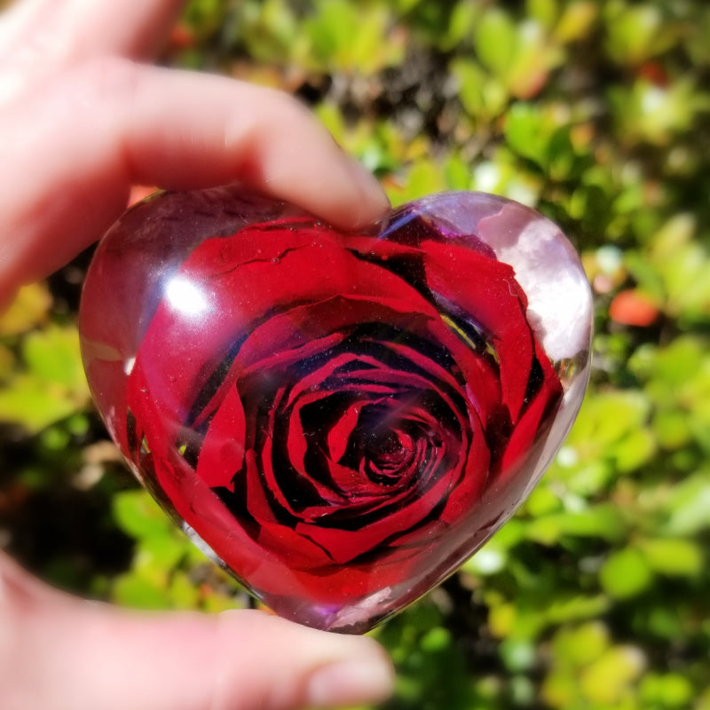 A vibrant full red rose preserved inside a medium resin heart.