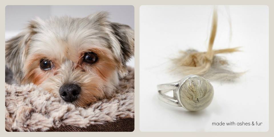 A meaningful pet memorial ring designed to honor a beloved pet, infused with ashes or fur for a lasting keepsake.