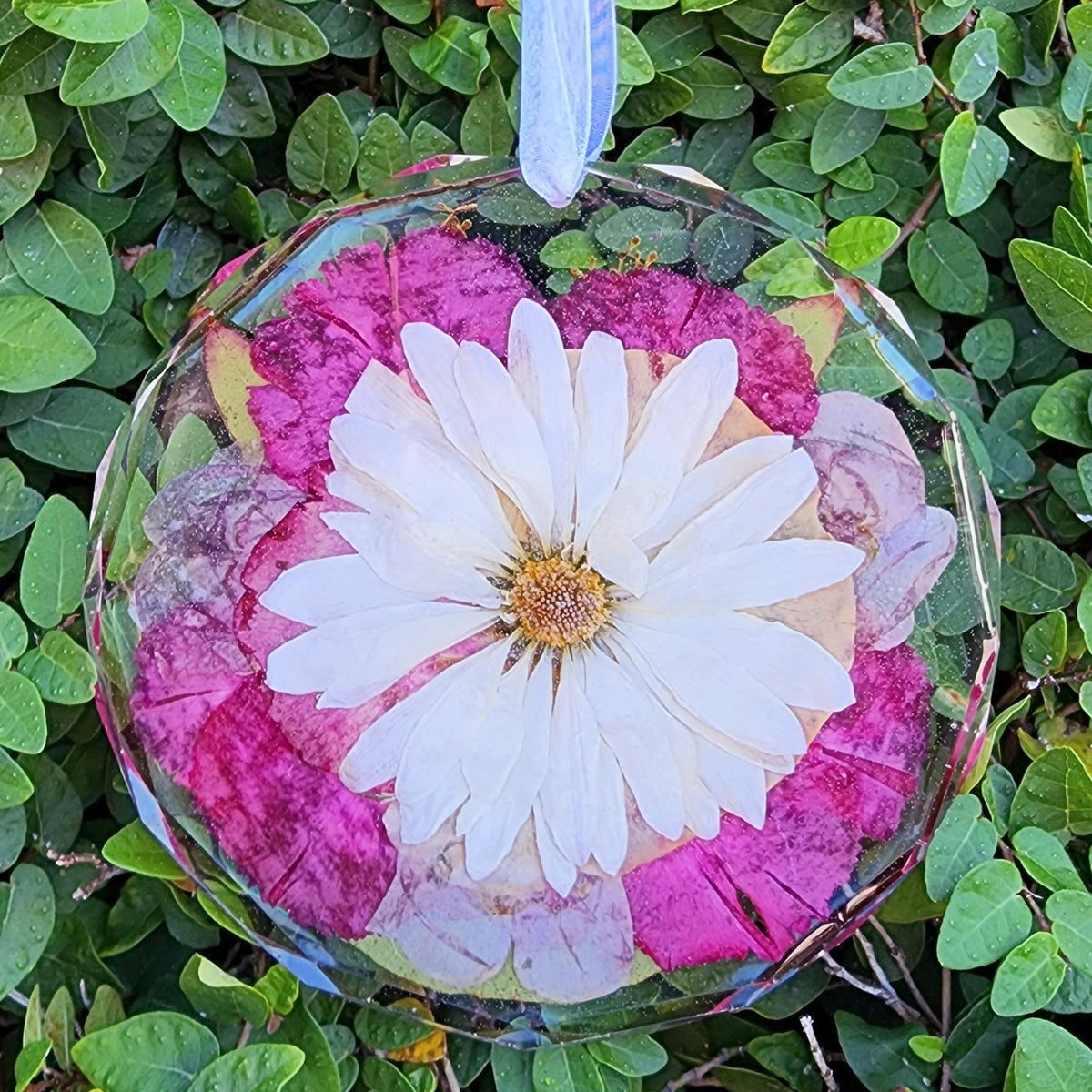 A handmade resin keepsake featuring a daisy in the center with vibrant, colorful petals in the background, creating a unique and sentimental display.