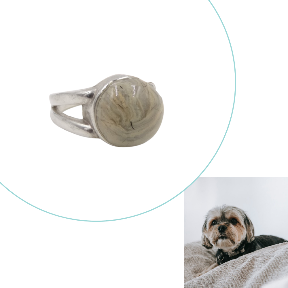 Dog 2025 memorial ring